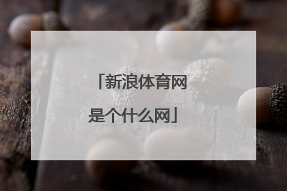 新浪体育网是个什么网