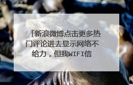 新浪微博点击更多热门评论进去显示网络不给力，但我WIFI信号满格，平均网速2M／s 请问这是怎么