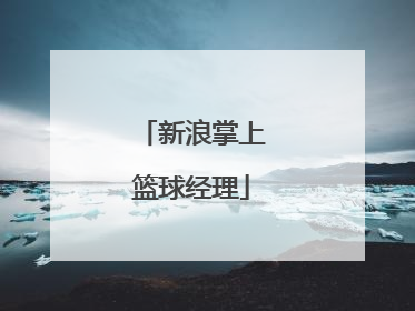 新浪掌上篮球经理