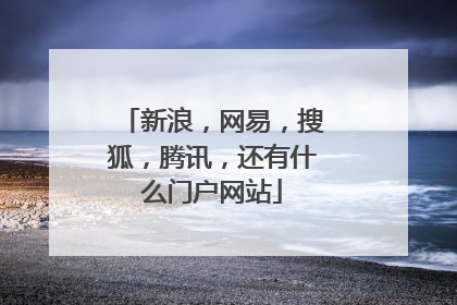 新浪，网易，搜狐，腾讯，还有什么门户网站