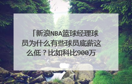新浪NBA篮球经理球员为什么有些球员底薪这么低?比如科比900万!格里芬300万等!