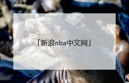 新浪nba中文网