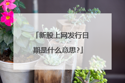 新股上网发行日期是什么意思?