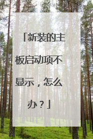 新装的主板启动项不显示,怎么办?