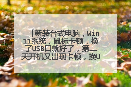 新装台式电脑,Win11系统,鼠标卡顿,换了USB口就好了,第二天开机又出现卡顿,换USB口就又好了?
