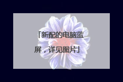 新配的电脑蓝屏,详见图片