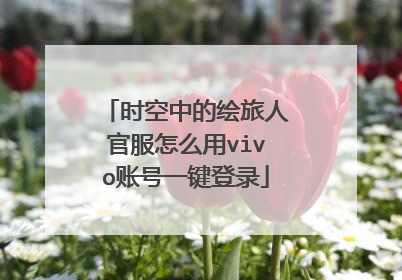时空中的绘旅人官服怎么用vivo账号一键登录