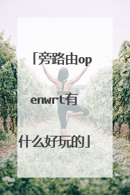 旁路由openwrt有什么好玩的