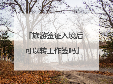 旅游签证入境后可以转工作签吗