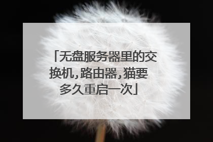 无盘服务器里的交换机,路由器,猫要多久重启一次