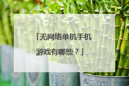 无网络单机手机游戏有哪些?