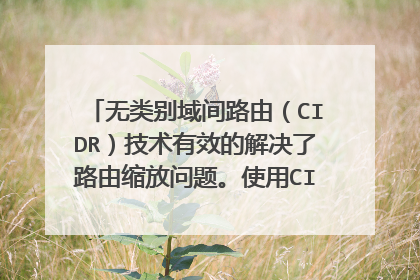 无类别域间路由(CIDR)技术有效的解决了路由缩放问题。使用CIDR技术把4个网络 汇聚成一条路由信息