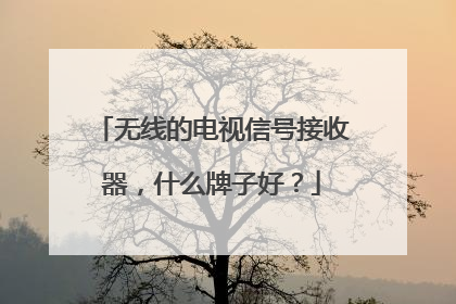 无线的电视信号接收器，什么牌子好？