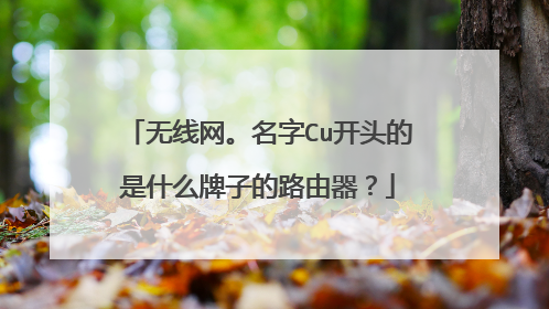 无线网。名字Cu开头的是什么牌子的路由器？