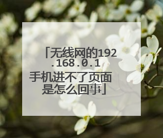 无线网的192.168.0.1手机进不了页面 是怎么回事
