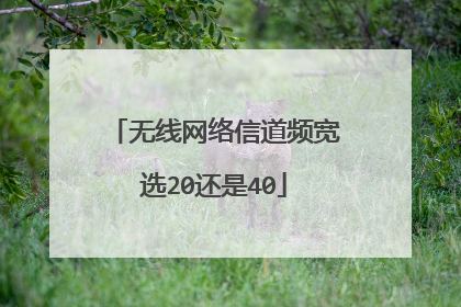无线网络信道频宽选20还是40