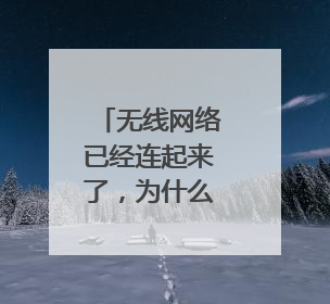 无线网络已经连起来了,为什么网络却不能用?