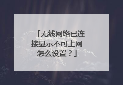 无线网络已连接显示不可上网怎么设置？