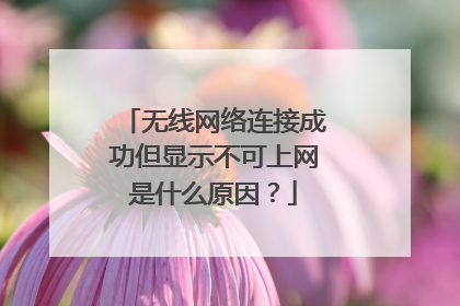 无线网络连接成功但显示不可上网是什么原因？
