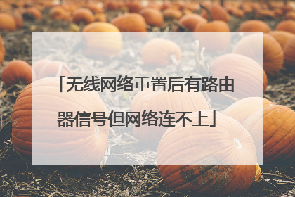 无线网络重置后有路由器信号但网络连不上