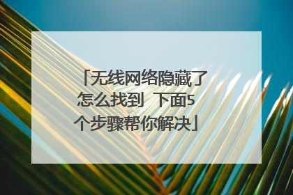 无线网络隐藏了怎么找到 下面5个步骤帮你解决
