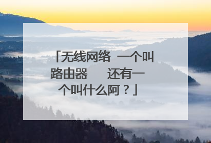 无线网络 一个叫路由器 还有一个叫什么阿?