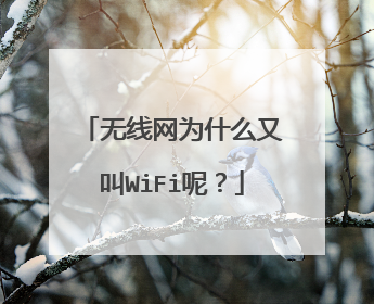 无线网为什么又叫WiFi呢？