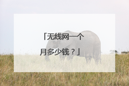 无线网一个月多少钱？