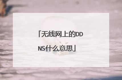 无线网上的DDNS什么意思