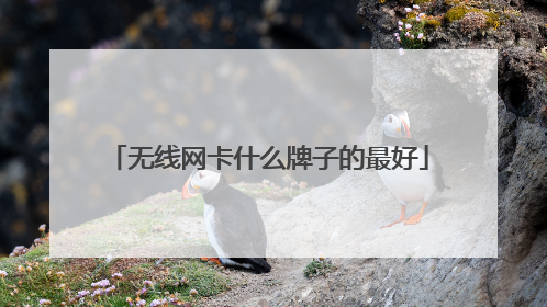 无线网卡什么牌子的最好