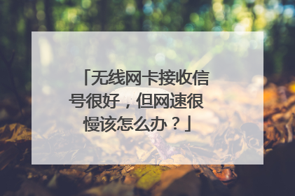 无线网卡接收信号很好,但网速很慢该怎么办?