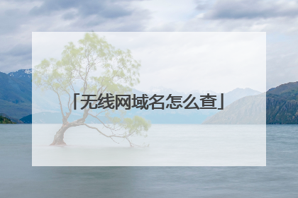 无线网域名怎么查