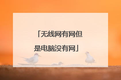 无线网有网但是电脑没有网