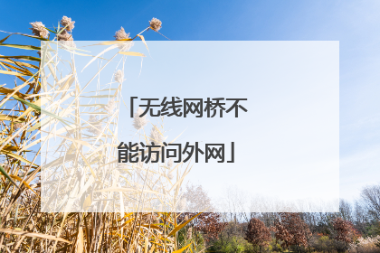 无线网桥不能访问外网