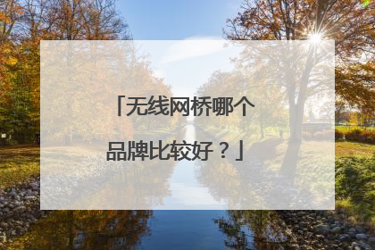 无线网桥哪个品牌比较好?