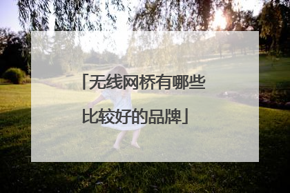 无线网桥有哪些比较好的品牌