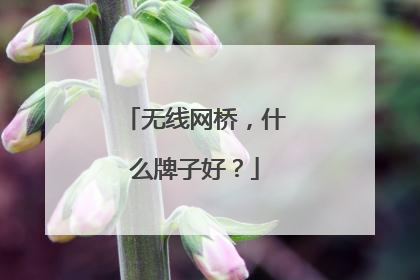 无线网桥,什么牌子好?