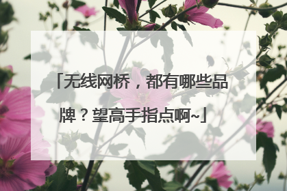 无线网桥,都有哪些品牌?望高手指点啊~