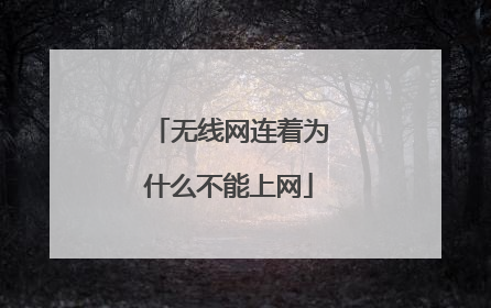 无线网连着为什么不能上网