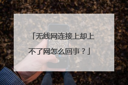 无线网连接上却上不了网怎么回事？