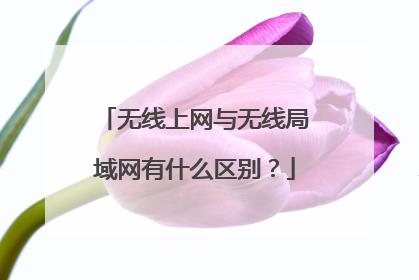 无线上网与无线局域网有什么区别?
