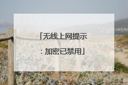 无线上网提示:加密已禁用