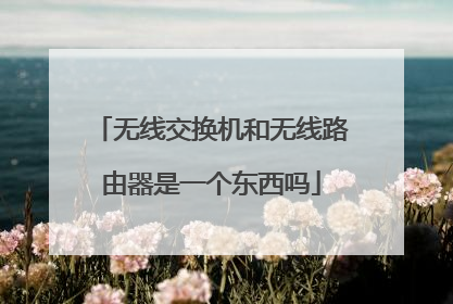 无线交换机和无线路由器是一个东西吗