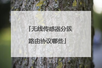 无线传感器分簇路由协议哪些