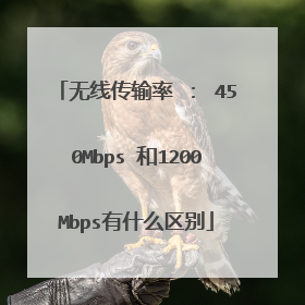 无线传输率 : 450Mbps 和1200Mbps有什么区别
