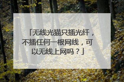 无线光猫只插光纤,不插任何一根网线,可以无线上网吗?