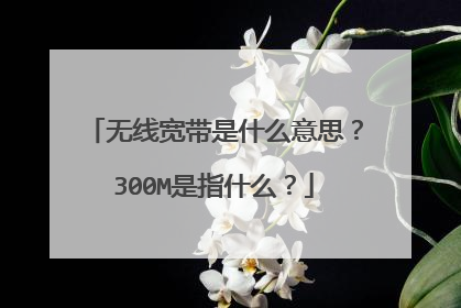 无线宽带是什么意思?300M是指什么?