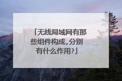 无线局域网有那些组件构成,分别有什么作用?
