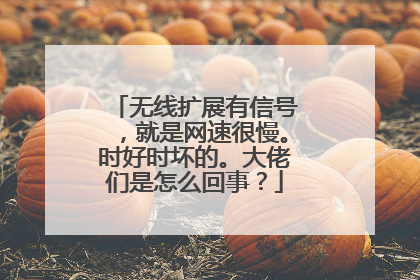 无线扩展有信号,就是网速很慢。时好时坏的。大佬们是怎么回事?