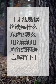 无线数据终端是什么东西?怎么用?麻烦用通俗点的语言解释下